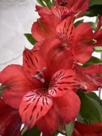 Boise Retreat 1017-19