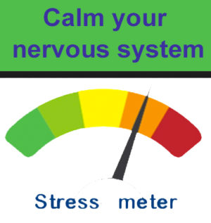 learn to calm your nervous system which is essential for continued health and well-being